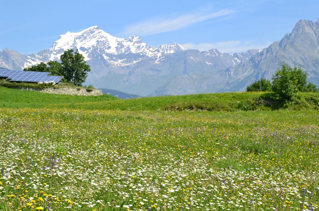 Apartmán Lo Coppa Fen Aosta Exteriér fotografie